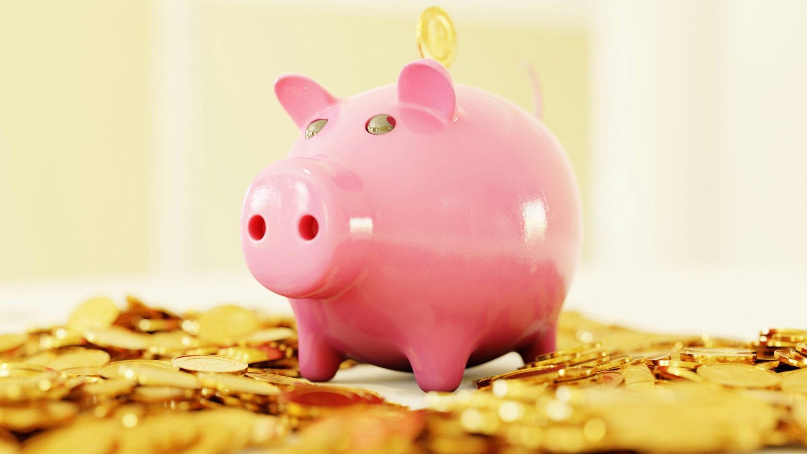 Home Renovation Loan